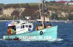 ID 115 Kainui